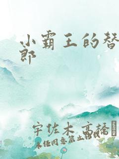 小霸王的替婚玉郎