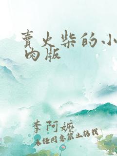 卖火柴的小男孩 肉版