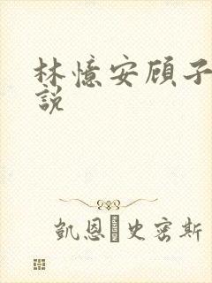 林忆安顾子铭小说