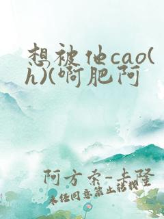 想被他cao(h)(啊肥阿