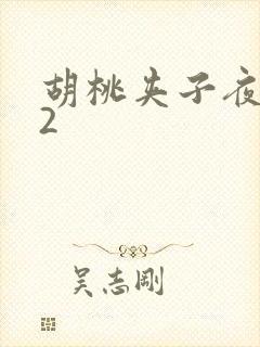 胡桃夹子夜未眠2