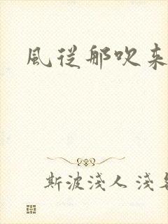 风从那吹来小说