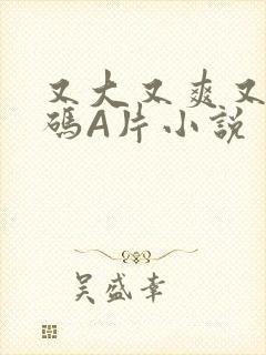 又大又爽又黄无码A片小说