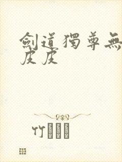 剑道独尊无弹窗皮皮