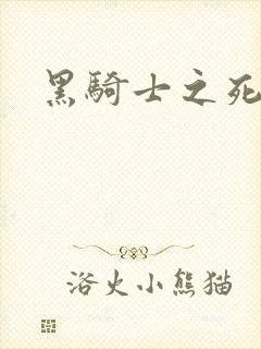 黑骑士之死
