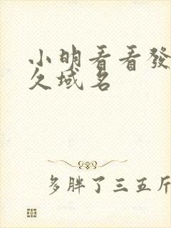 小明看看发布永久域名