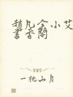 赵凡余小艾白毅书香阁