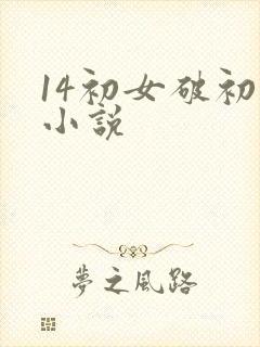 14初女破初的小说