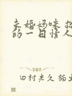 未婚妈咪 总裁的一日情人