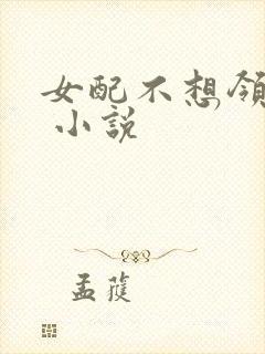 女配不想领便当 小说