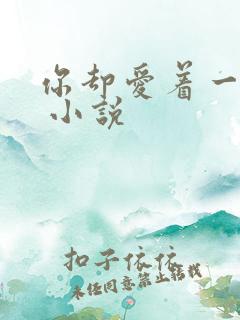 你却爱着一个他 小说