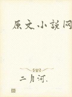 原文小说网