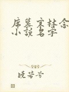 席慕寒林念儿的小说名字