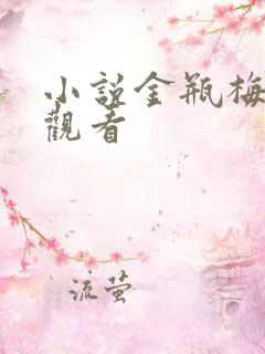 小说金瓶梅在线观看