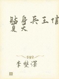 贴身兵王俏总裁夏天