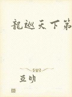 龙巡天下第四部