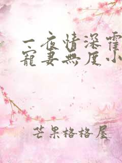 一夜情深霍先生宠妻无度小说免费阅读