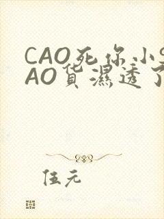 CAO死你小SAO货湿透了学长