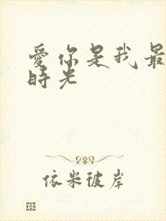 爱你是我最好的时光