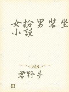 女扮男装坐江山小说