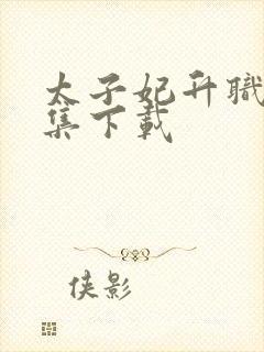 太子妃升职记全集下载