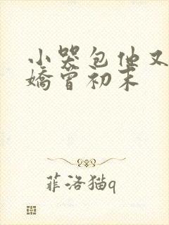 小哭包他又软又娇曾初末