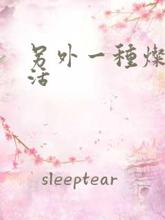 另外一种灿烂生活