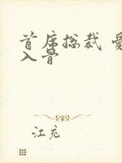 首席总裁 爱你入骨