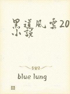 黑道风云20年小说