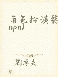 角色扮演系统(npn)