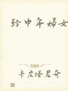 干中年妇女小说