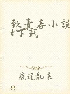 致青春小说txt下载