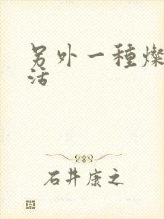 另外一种灿烂生活