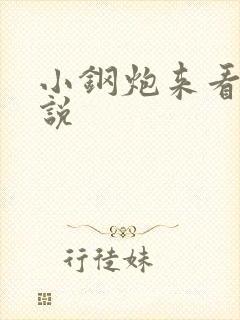 小钢炮来看我小说