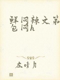 鲜网辣文第二书包网h