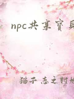 npc共享宝贝