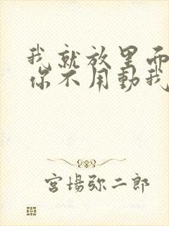 我就放里面不动你不用动我动