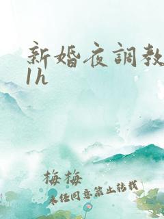 新婚夜调教1v1h