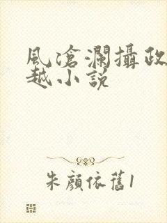 风沧澜摄政王穿越小说