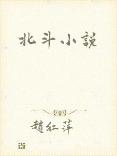 北斗小说