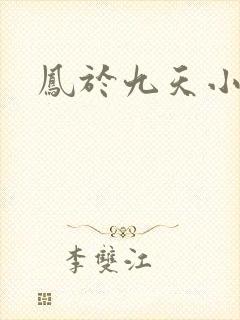 凤于九天小说
