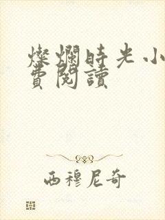 灿烂时光小说免费阅读