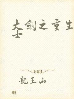 大剑之重生圣骑士