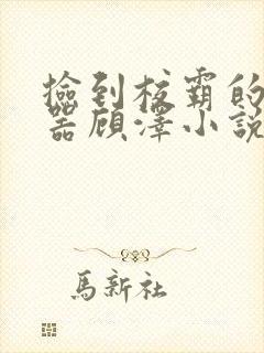 捡到校霸的遥控器顾泽小说免费阅读