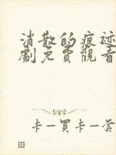 消散的痕迹电视剧免费观看完整版