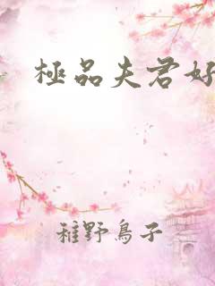 极品夫君好又多