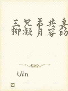 三兄弟共妻女主柳凝月容的小说