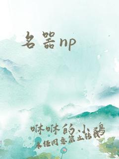 名器np