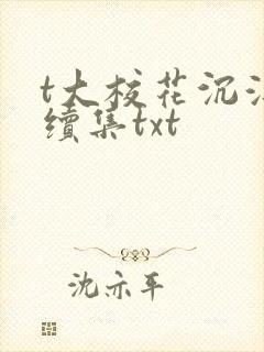 t大校花沉浮录续集txt