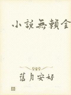 小说无赖金仙